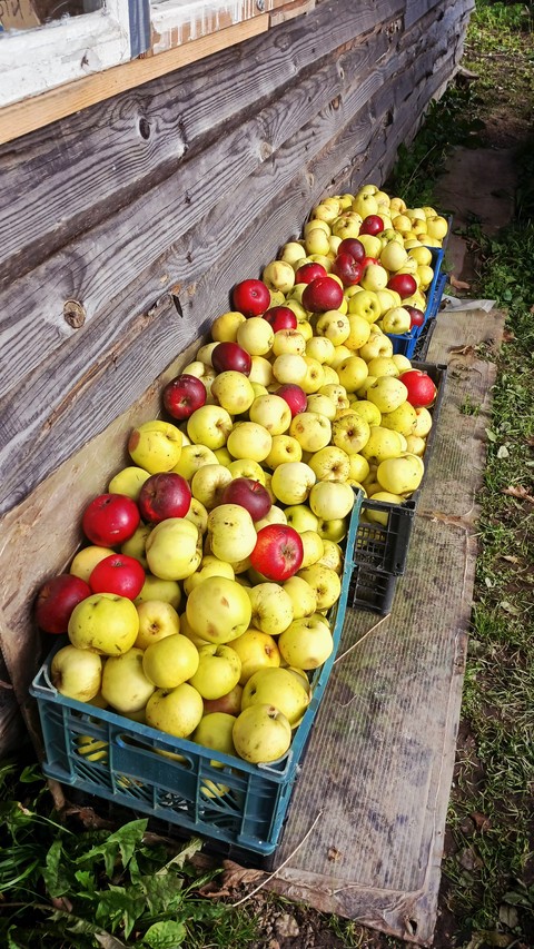 Produce, Fruit, Natural_foods