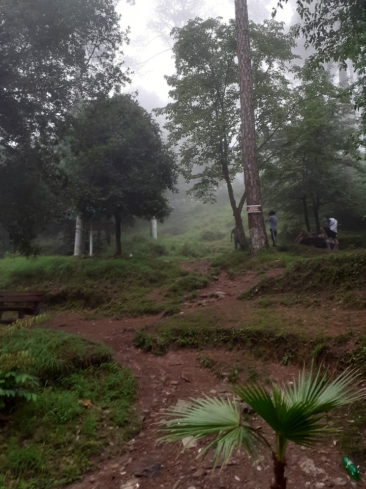 Hilly Road