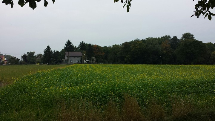 późna jesień
