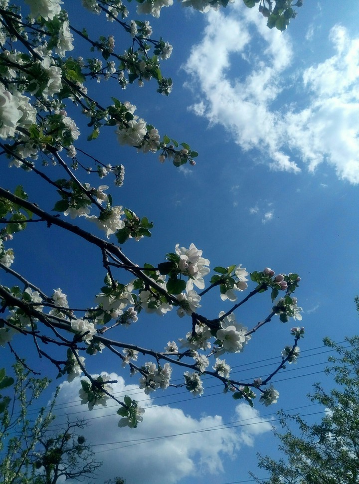 sky