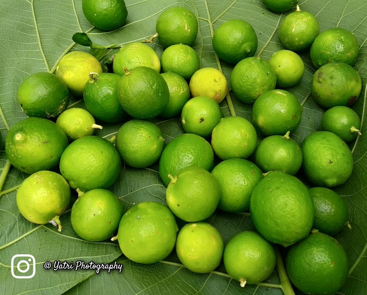 Lemmon