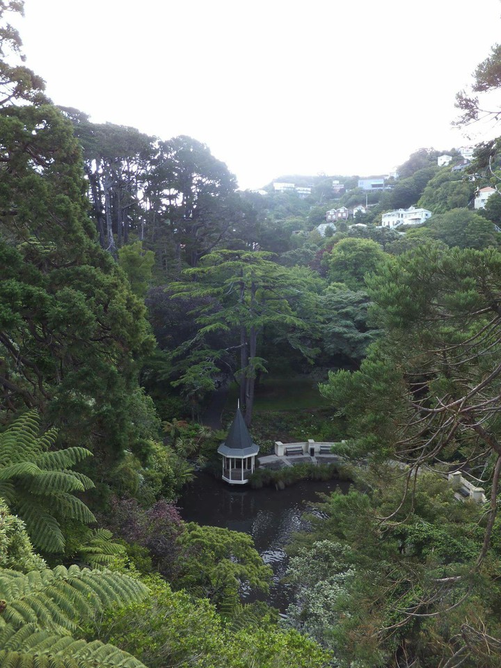 Duck pond at Botanic Gardens