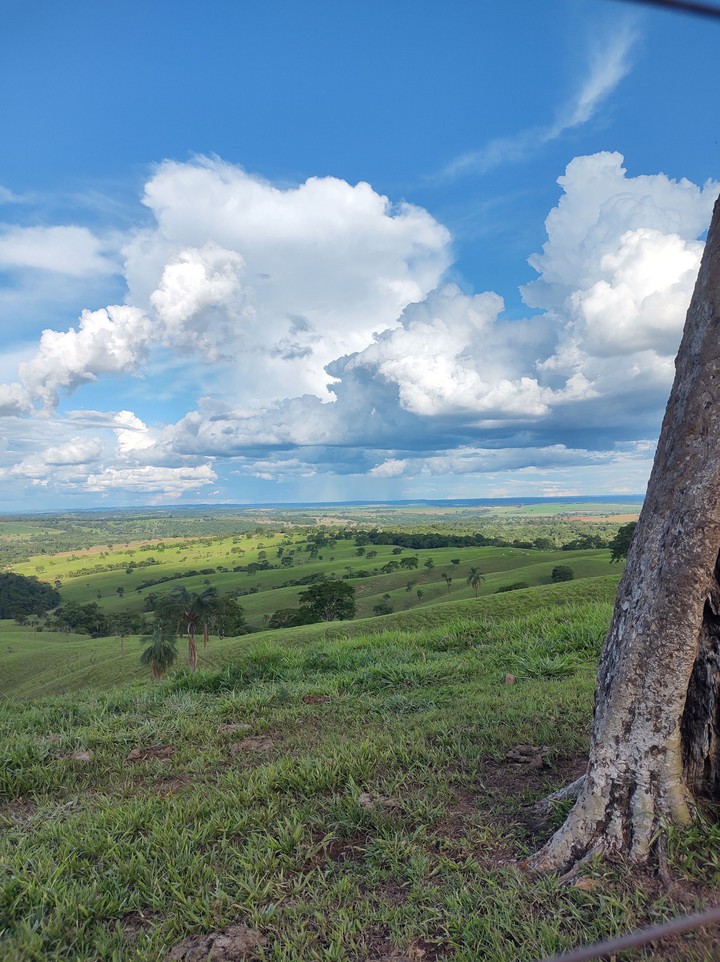 vista do alto