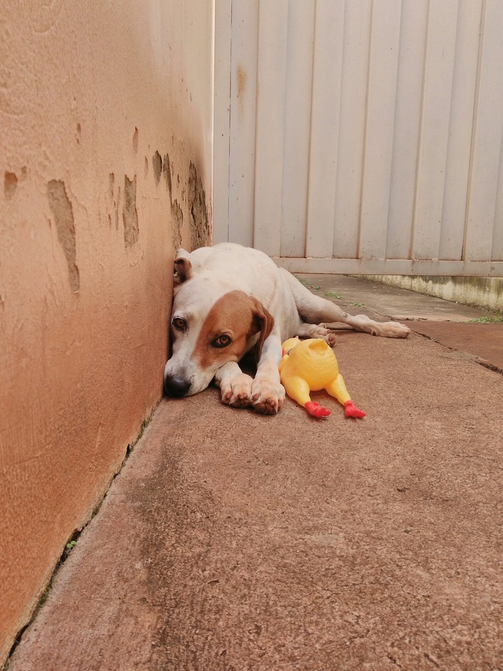 My dog, my child!!