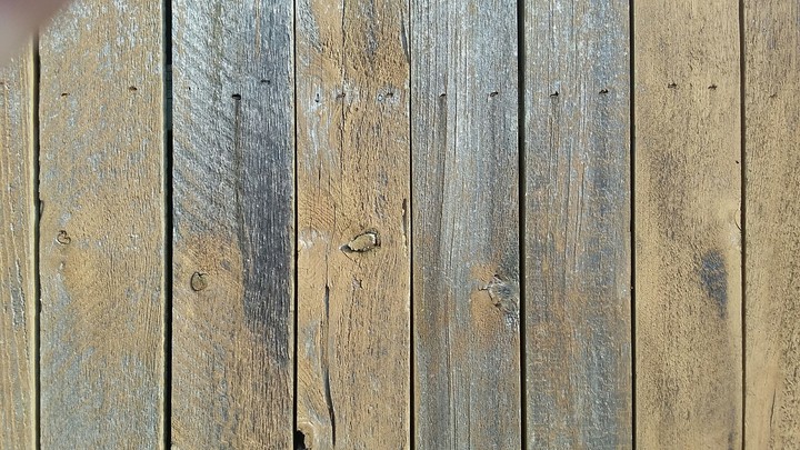 Woody Fence