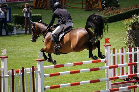 Springreiten