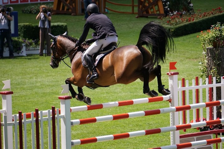 Springreiten