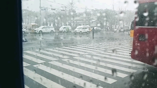 시내에 눈이 내리면