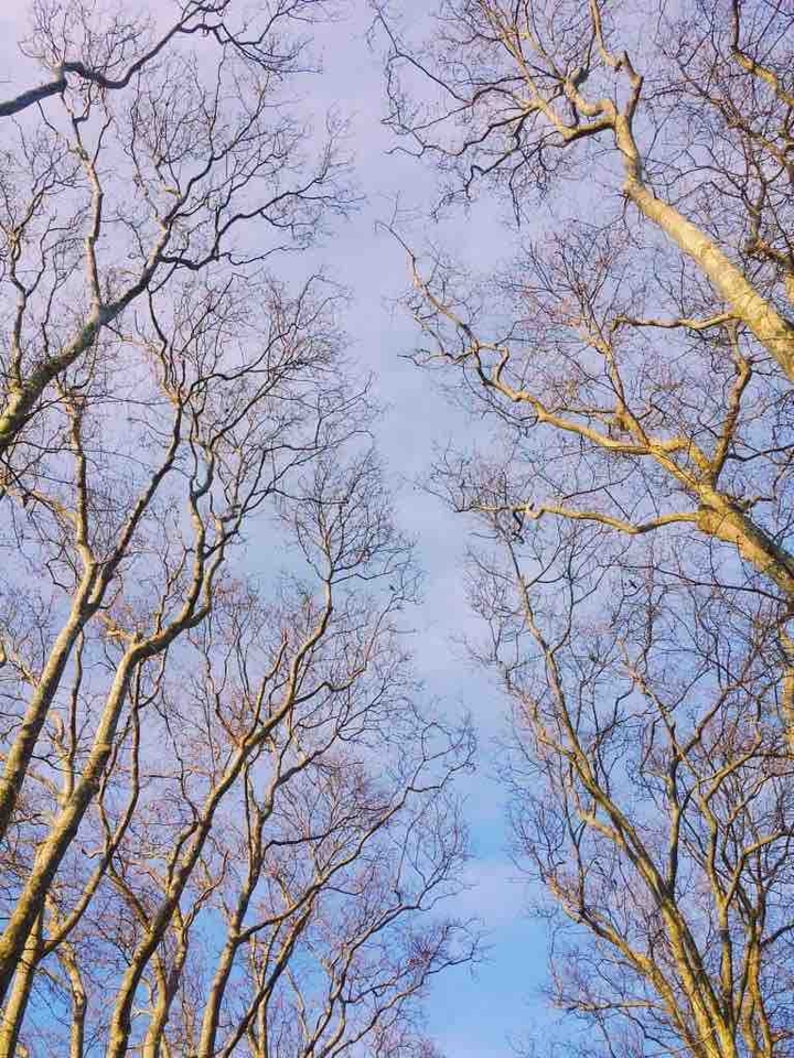 sky