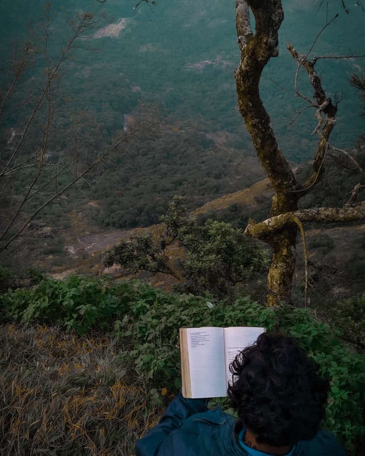 reading mood