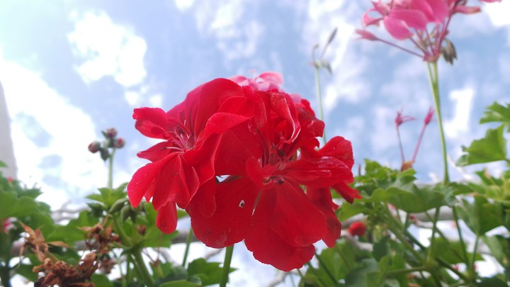Summer