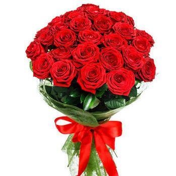 i love rose