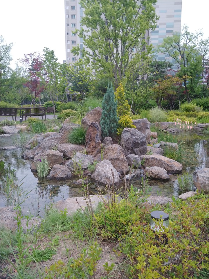 호수