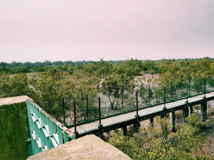 sundarban unleashed