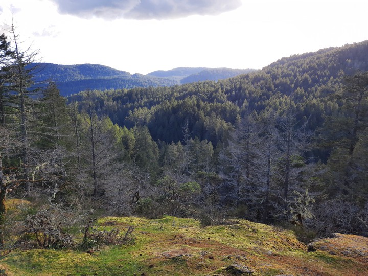 Spring Mountains