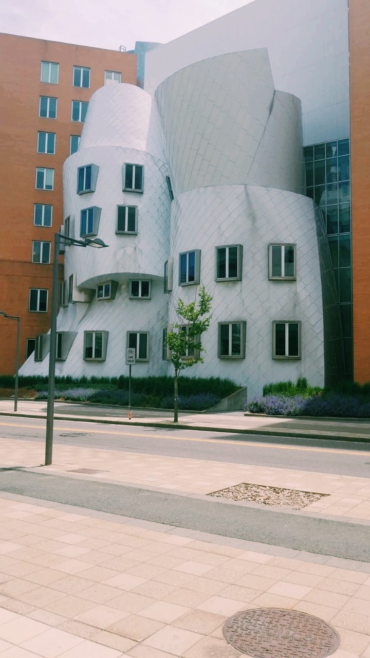 Architect gone crazy!