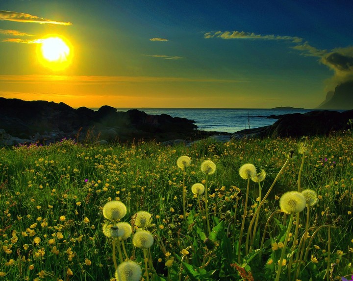Sunset