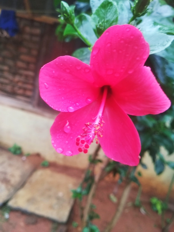 my clicked ❤️