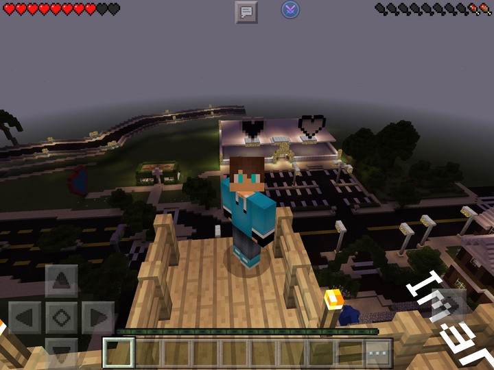 Mine Craft