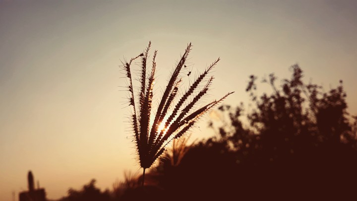 good morning