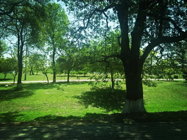 nature