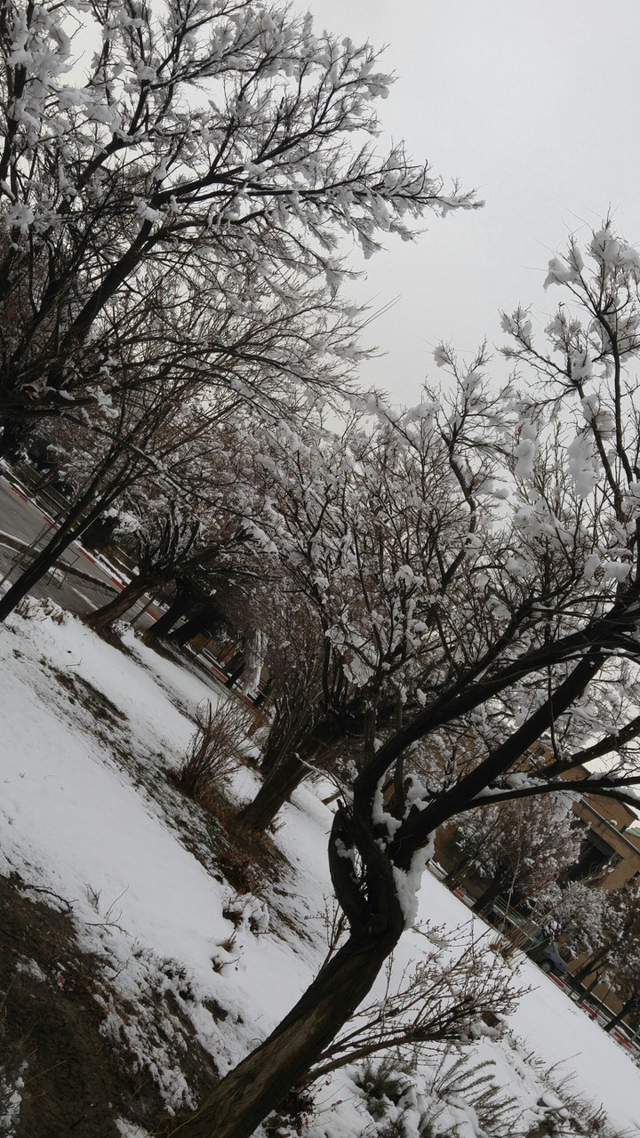 snow of hamedan;iran