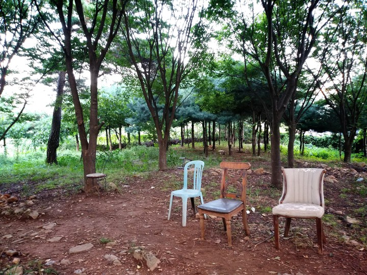 chairs in the forest