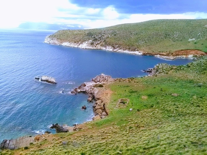 Mare