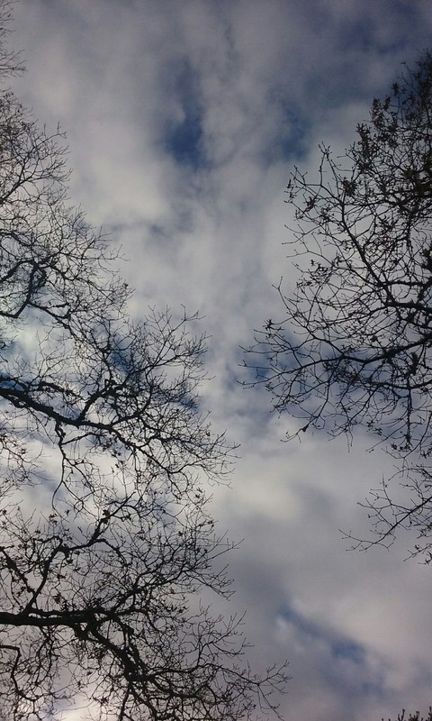 Fall