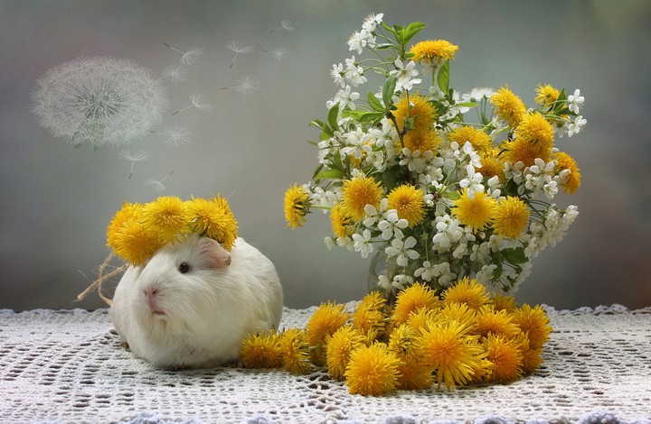 !