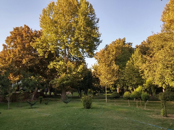 eram garden. shiraz. iran. 