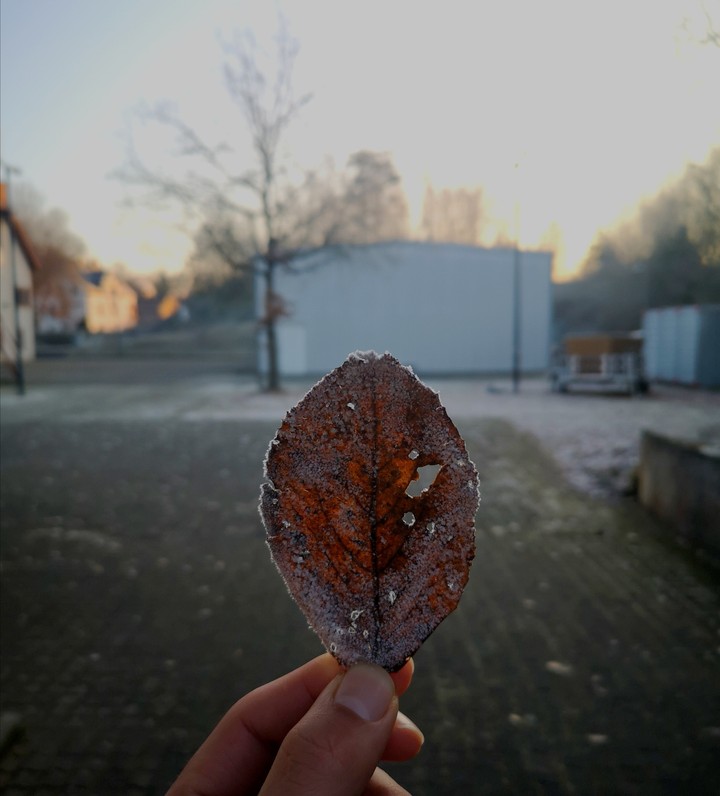 winter time