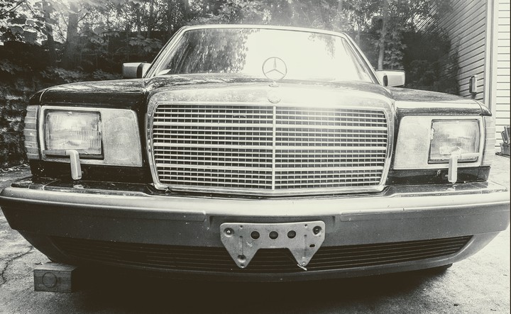 The M