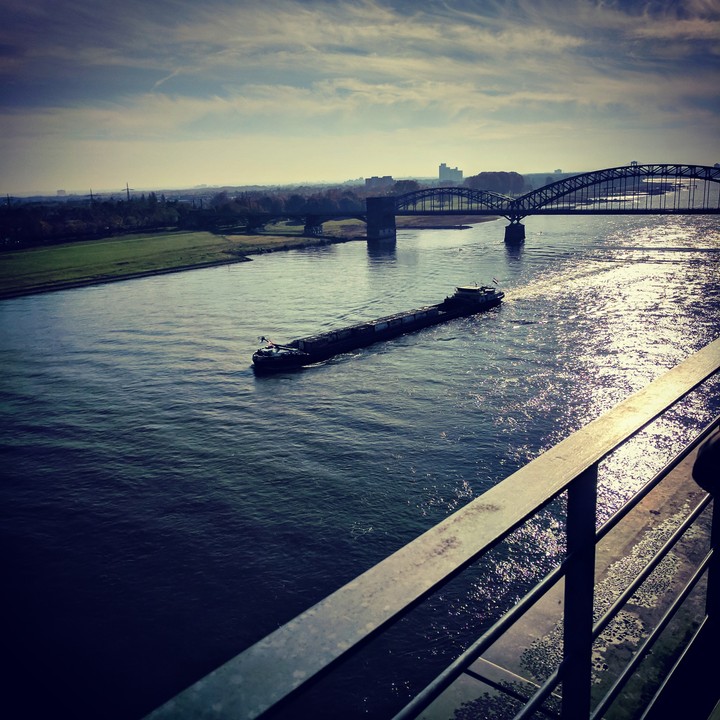 Kölner Südstadt am Rhein