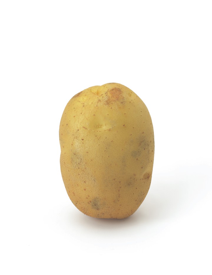 음식이미지