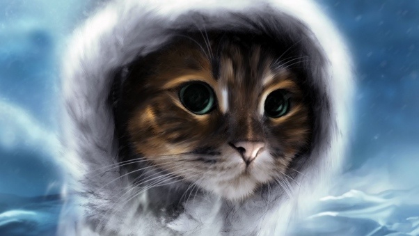 кот шубе