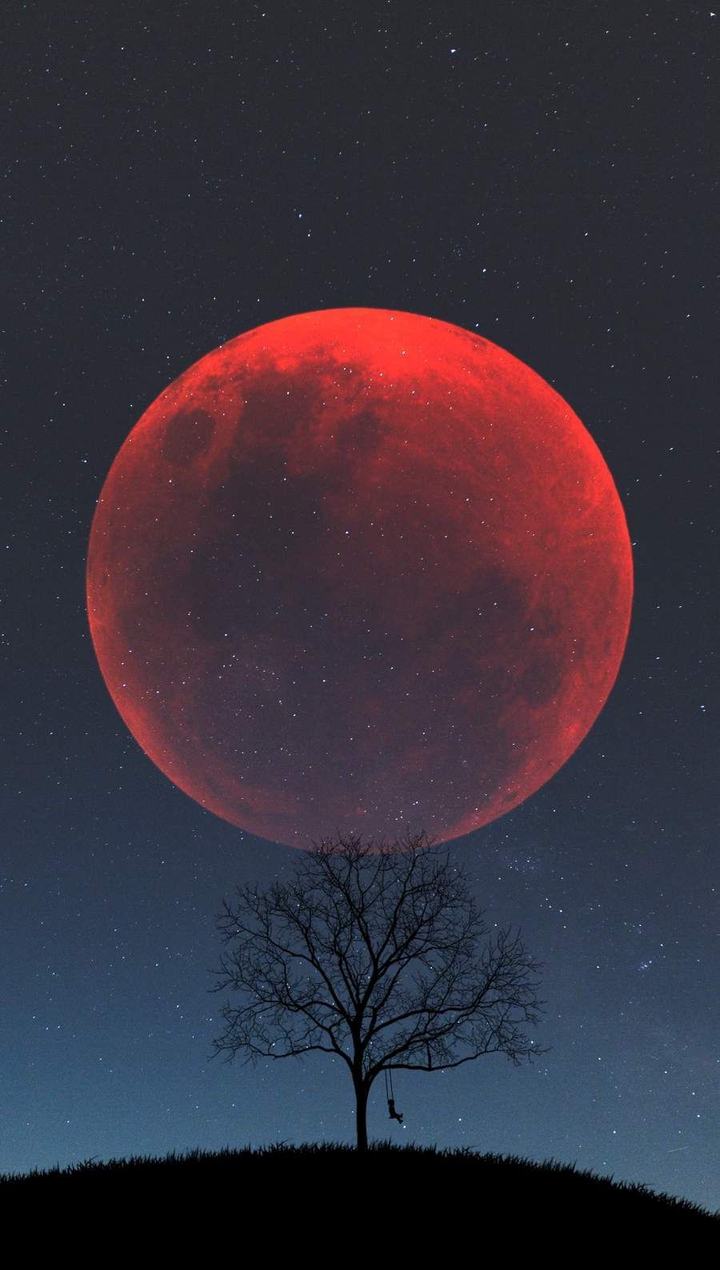 b MOON