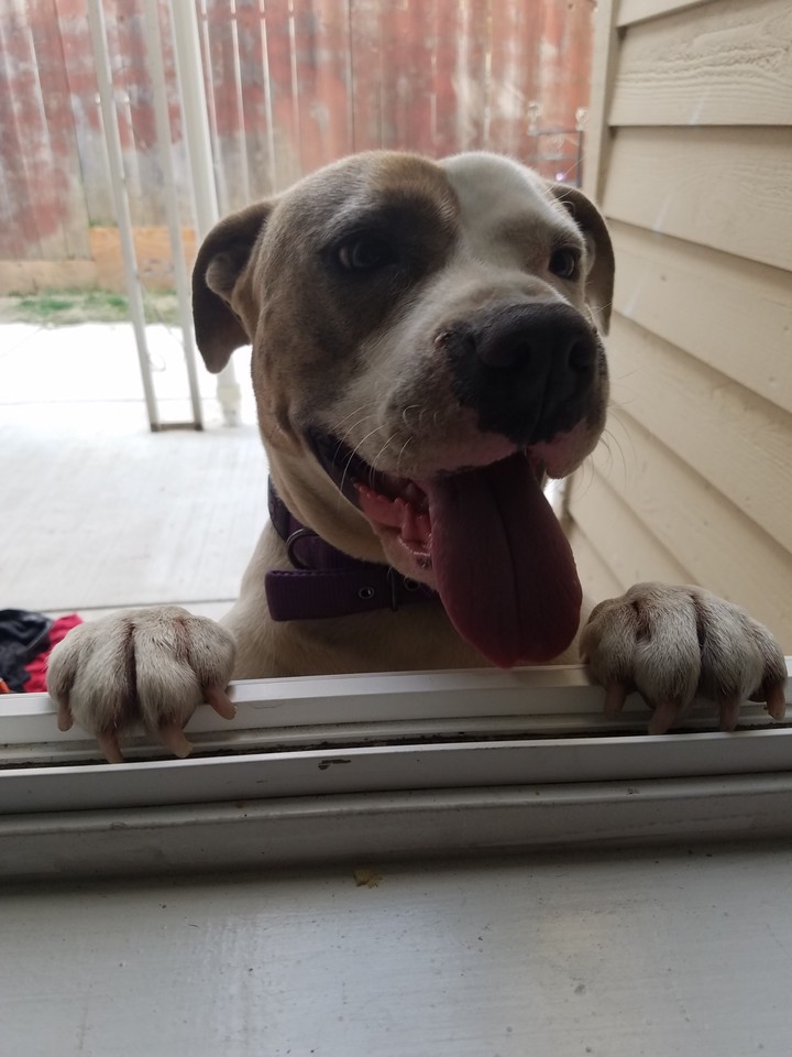 peek a boo