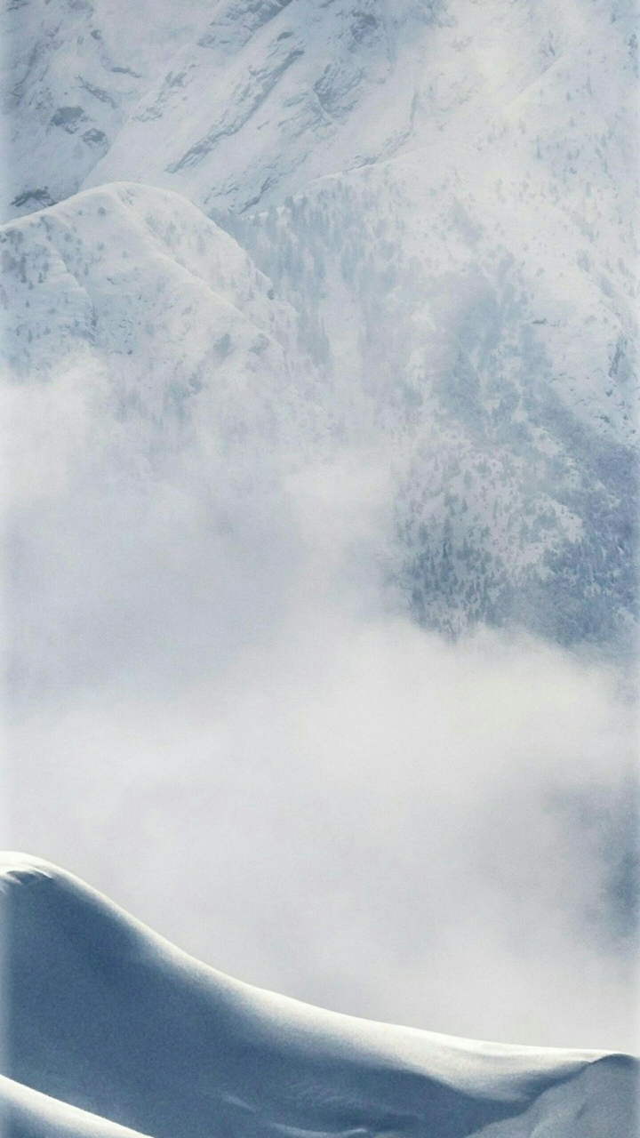 Artic Silver