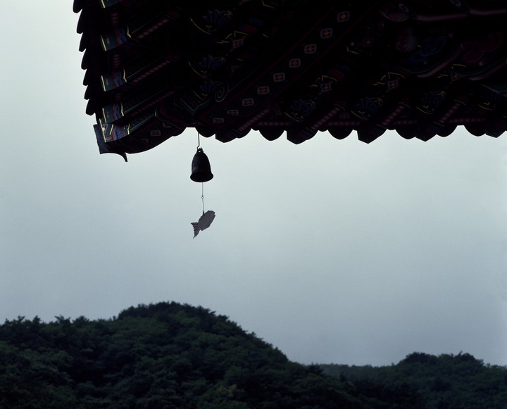 동양이미지