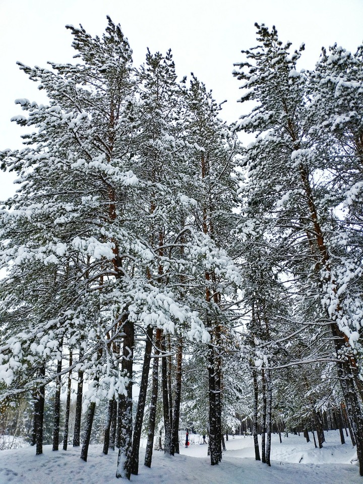 winter