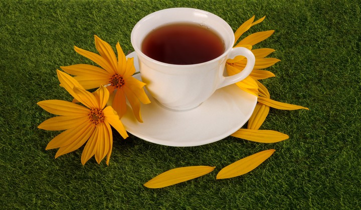 *＊✿❀❃❀✿＊*