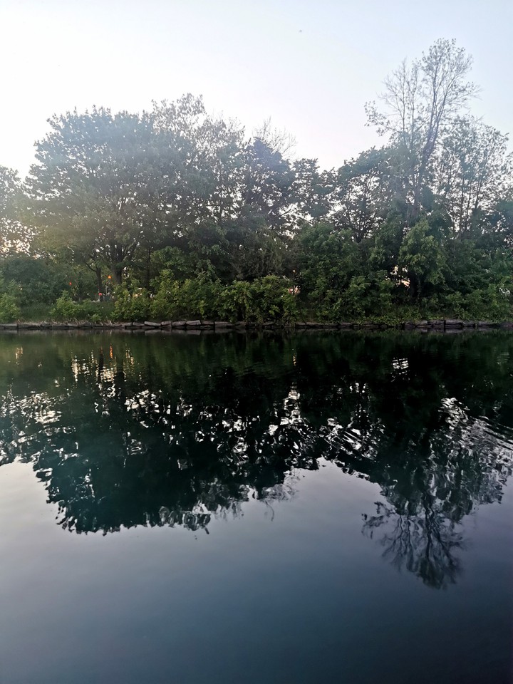 lac