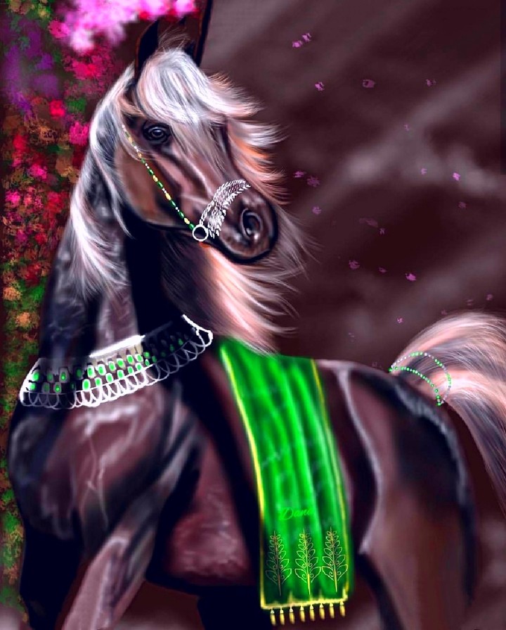 Stallion