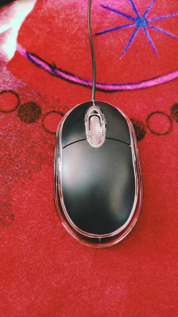 Mouse