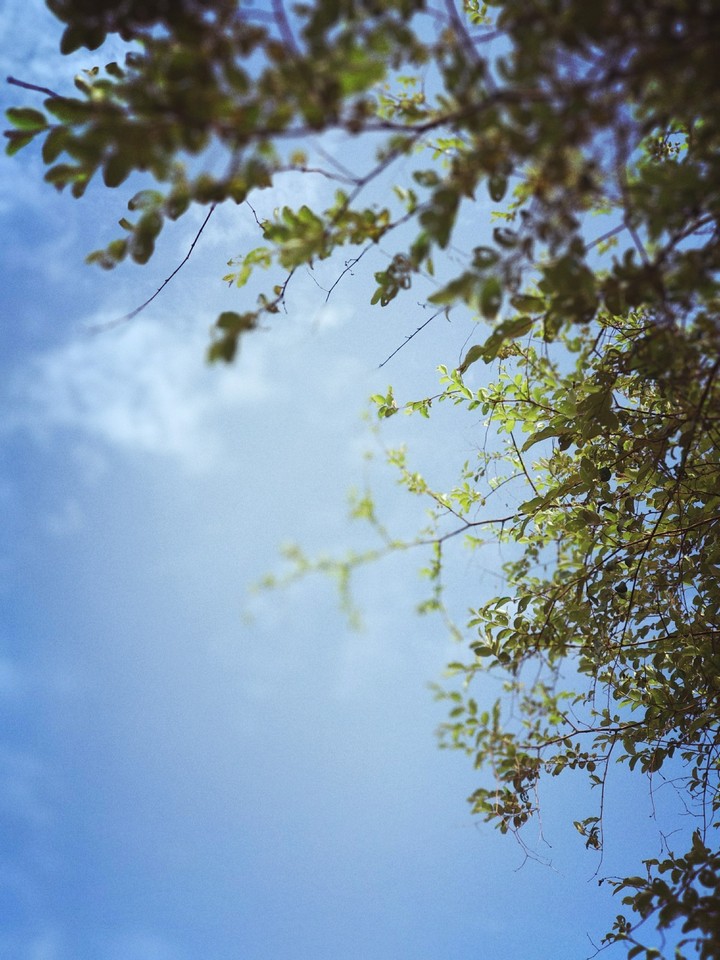sky view