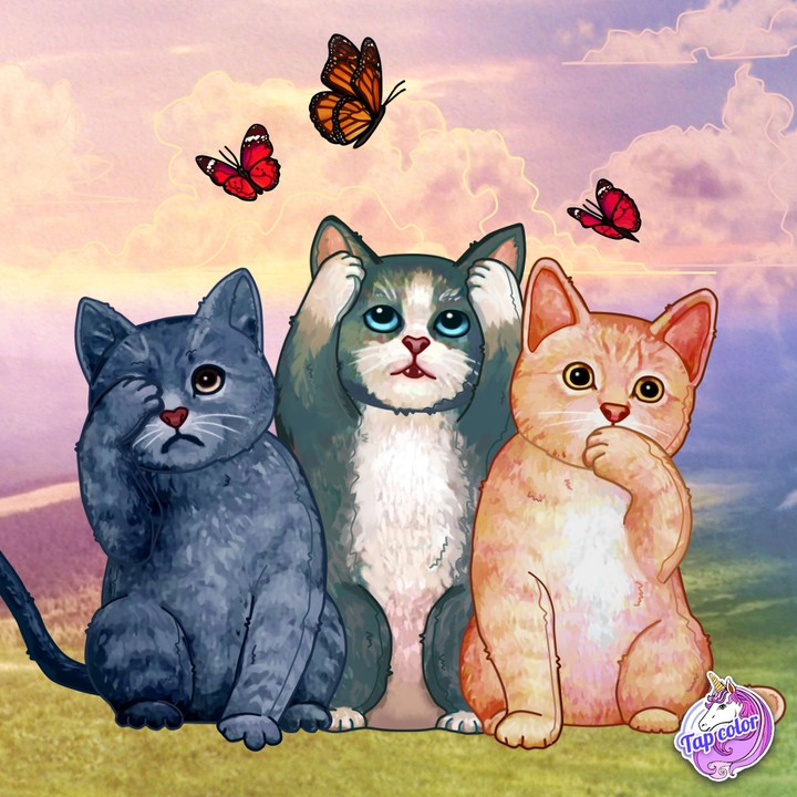 Cat's