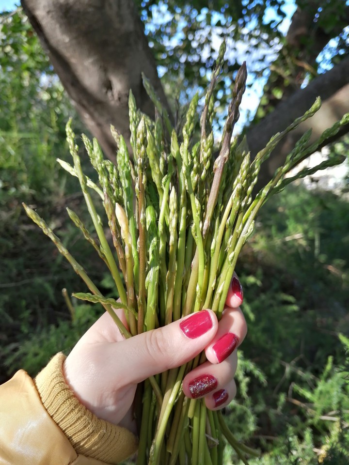Tender asparagus