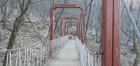 다리