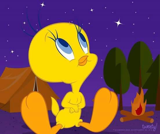 tweety